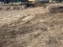 Dziennik T1