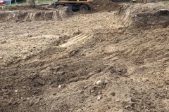 dz1