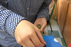 31355353_994684567350917_3103005474975383552_n